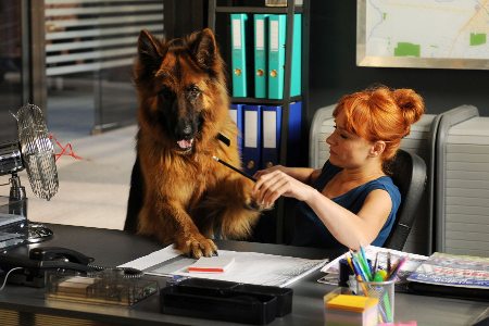 seriale online Komisarz Alex